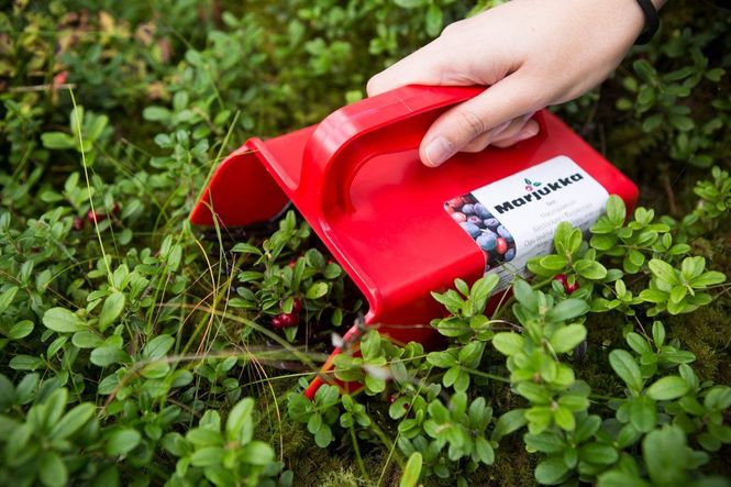Hovedbilde Marjukka Bærplukker Basic med plastdoner