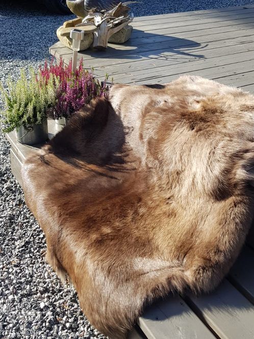 Hovedbilde Reinskinn i norsk kvalitet - fra stor kalv